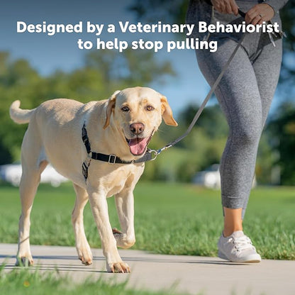 PetSafe Easy Walk Harness, No Pull Dog Harness, Royal Blue, Large | Patented Martingale Loop Gives Gradual Shoulder Pressure to Stop Pulling, Front-Chest Leash Clip Prevents Gagging