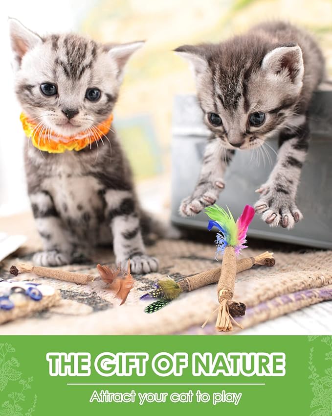 TINDTOP Silvervine Chew Sticks for Cats, Natural Catnip Chew Toys for Kittens Teeth Cleaning, Matatabi Dental Care, Increase Appetite, Calm Cat Anxiety and Stress, Cat Dental Toy (3 Pack)