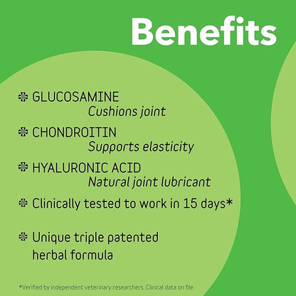 InClover Connectin Natural Hip & Joint Supplement for Dogs with Glucosamine, Chondroitin & Hyaluronic Acid - Soft Chew for Dog Mobility, Comfort & Active Lifestyle Support, 300 Count