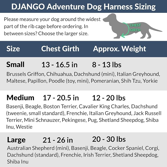Adventure Dog Harness - Stylish and Comfortable Large Dog Harness for Outdoor Adventures and Everyday Wear - Black Neoprene Adjustable Harness for Dogs with Reflective Piping and Brass D-Ring