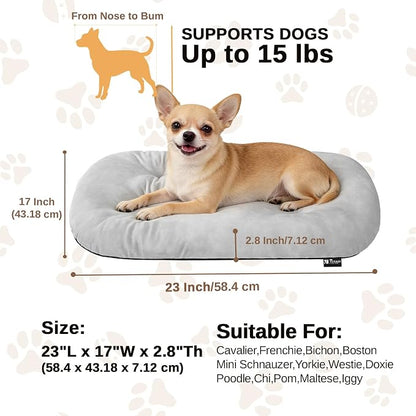 Washable Oval Small Dog Bed, Silver-Tipped High-Resilience, Light Gray | Non-Slip Bottom Prevents Sliding,Soft Plush Short Fur,Machine Washable Cushion,Ideal for Crates & Small Spaces,23"x17"x2.8"