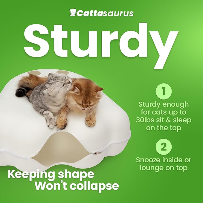 Cattasaurus Unique Gothic Peeka-Boo Cat Cave Duo Jumbo Set, Extra Spacious for Multiple & Large Cats 15+ lbs, Scratch Detachable Cat Beds for Indoor Cats, Washable Tunnel Bed