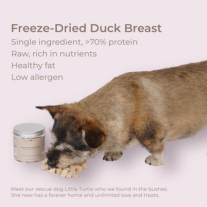 BLACK FOX Freeze-Dried Duck Breast Dog Treats | Cat Treats | 2oz Single Ingredient, Raw, Healthy, All Natural, Human Grade, Recyclable Packaging