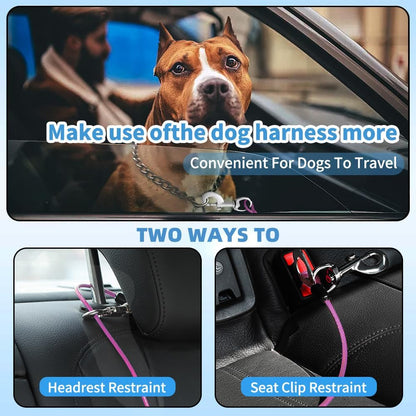 Dog Seat Belt Harness for Car,Dog Seatbelt of Coated Wire Leash Safety Restraint,No Chew Tether Cable Vehicle,Double Clips & Latch(Purple, 32 inch/80 CM)