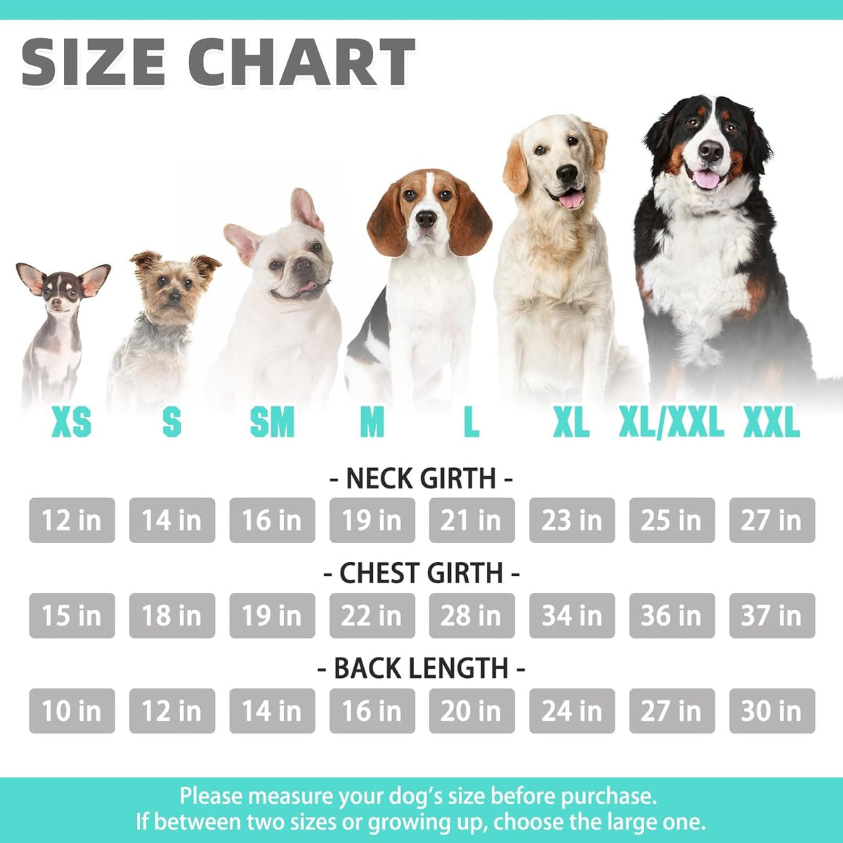 KOOLTAIL Basic Dog Hoodie - Soft and Warm Dog Hoodie Sweater with Leash Hole and Pocket, Dog Winter Coat, Cold Weather Clothes Sweatshirt for Small Medium Large Dogs Puppy Cat Boys Girls Lake Blue XL
