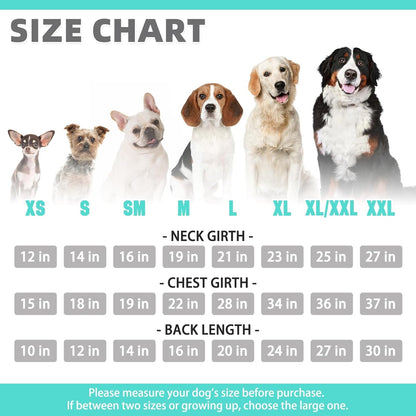 KOOLTAIL Basic Dog Hoodie - Soft and Warm Dog Hoodie Sweater with Leash Hole and Pocket, Dog Winter Coat, Cold Weather Clothes Sweatshirt for Small Medium Large Dogs Puppy Cat Boys Girls Lake Blue XL
