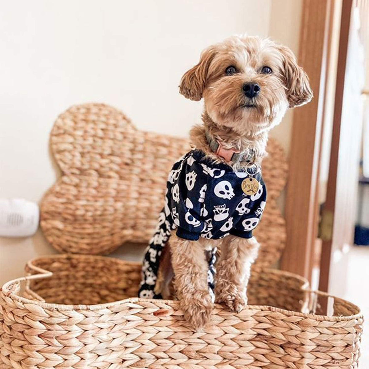 CuteBone Dog Halloween Pajamas Puppy Onesies Small Dogs Soft Pjs Coat Cat Apparel Comfy Pet Christmas Clothes Outfit Doggie Bodysuit P11S
