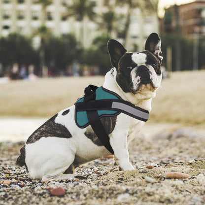 Bolux Dog Harness, No-Pull Reflective Dog Vest, Breathable Adjustable Pet Harness with Handle for Outdoor Walking - No More Pulling, Tugging or Choking (Turquoise, M)