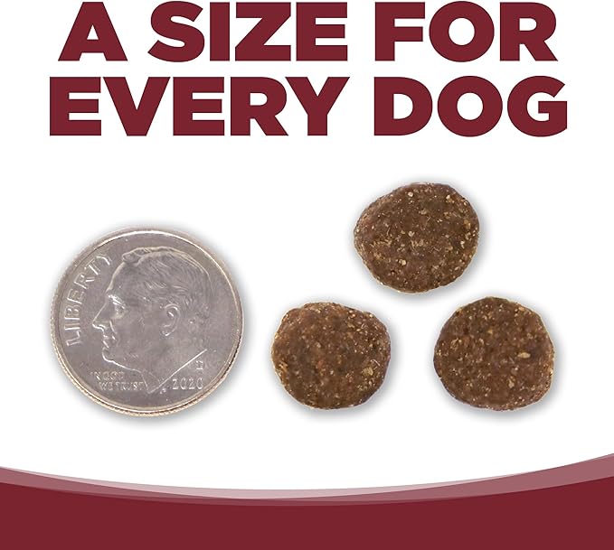 NutriSource Dry Dog Food, Beef and Rice, 4LB