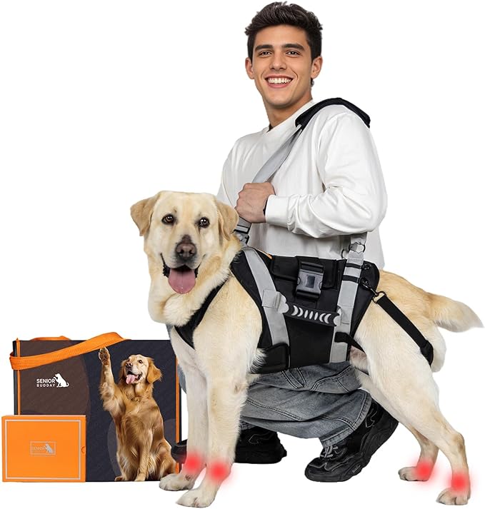 Dog Lift Harness for Large Dogs,Full Body Dog Sling Carrier, Black, XL | Help Support Big, Elderly Pet with Arthritis, Front/Rear Legs Assistance with Handle, for Lifting Injured Dogs Up Stairs