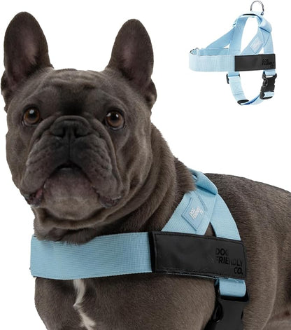 Dog Friendly Co. Dog Harness for Small Dogs (Sky Blue, XXSmall) | One Click Buckle, Chafe Resistant Webbing, Adjustable Neck & Chest, and Heavy Duty D-Ring, Sturdy Comfortable and Easy to Use