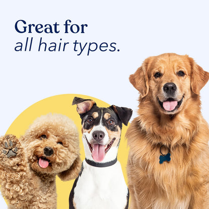 Honest Paws Dog Dry Shampoo - Waterless No Rinse Spray Formula Reducing Itch Cleanse Hydrate Nourish Dry Skin and Smelly Coat Help Decrease Odor Shedding and Allergies - Mandarin & Berry - 8 oz