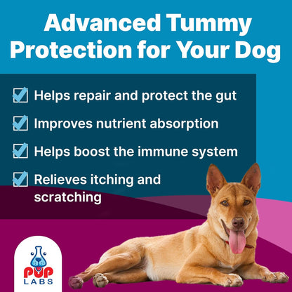 K9 Belly Bliss, All-Natural Gut Health for Dogs, Vet Approved Prebiotic for Dogs for Daily Digestive Support & Dog Constipation Relief, Topper for Dry & Wet Food, 6 Pack with 30 Scoops Each.