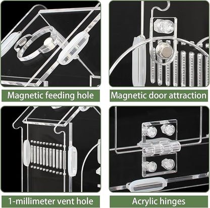 Magnetic Acrylic Terrarium for Jumping Spiders & Small Pets – Easy-Access Front Opening, Feeding Hole, Ideal for Reptiles, Tarantulas, Hermit Crabs & More