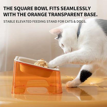 Cool Kids Elevated Cat Bowls – Raised Slanted Eco Fiber Disposable Set | Food-Grade Degradable Fiber, Cat Bowls for Small Dogs, Disposable No-Clean, Fits Camping & Travel, Multi-Pet & Stray Feeding