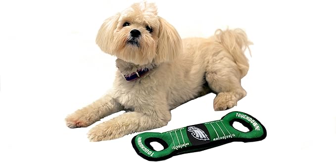 NFL Football Field DOG TOY with Squeaker. - PHILADELPHIA EAGLES - For Tug, Toss, and Fetch. - Tough & Durable PET TOY