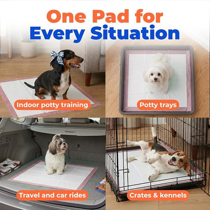 Best Pet Supplies Puppy Pads (22.5 x 22 Inches) - Disposable, Dog Training Potty , Super Absorbent Baby Pink Puppy Pee Pads for Dogs (100 Count)