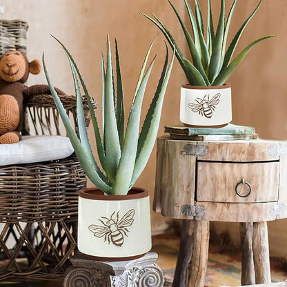 YBX Terracotta Pots Inch with Drainage Holes, Bee Decor, Ceramic Pots for Indoor Plants Flower Pots Outdoor, Succulent, Herbs, Snake Plants (White, 6+4 Inch)