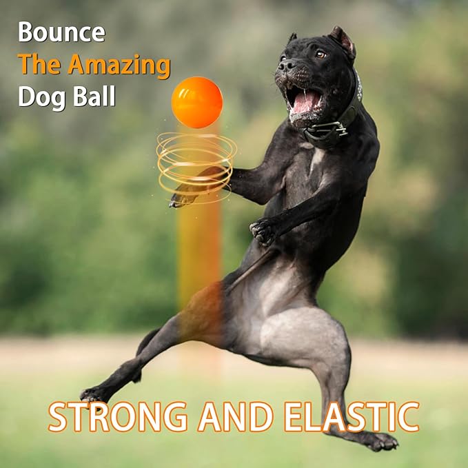 Indestructible Dog Toys - Solid Rubber Balls for Aggressive Chewers, 100% Safe & Non-Toxic, Floating Fetch Toys for Medium & Large Dogs