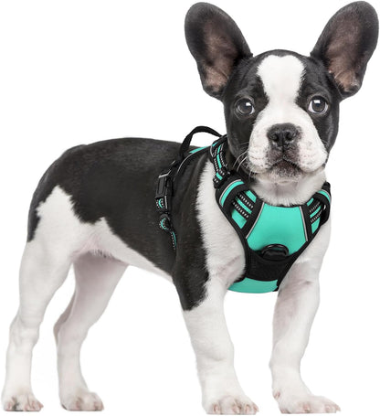 rabbitgoo Dog Harness No Pull with 2 Leash Clips, Adjustable Soft Padded, Reflective Oxford No Choke Pet Vest with Easy Control Handle for Small Dogs, Turquoise, S