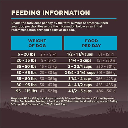 Wellness CORE Dry Dog Food, Wholesome Grains, High Protein, Natural, Ocean Whitefish & Herring Recipe, (4-Pound Bag)