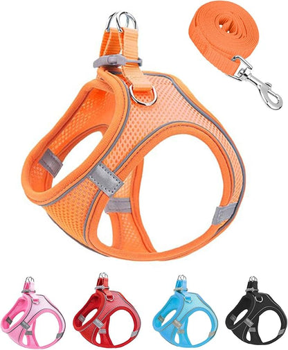 XXS Orange Soft Mesh Dog Harness and Leash Set,No Escape Puppy Harnesses for Training Walking， Reflective Adjustable Puppy Vest for Small Medium Dogs, Cats (Orange, XXS)