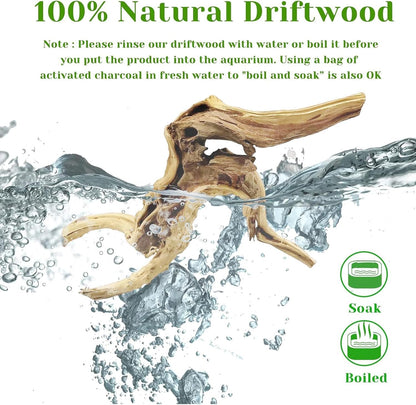 Tfwadmx Natural Driftwood for Aquarium, 11-13 inch Reptile Branches Terrarium Wood Aquarium Trunk Driftwood Tree Fish Tank Log Decoration Pack of 2