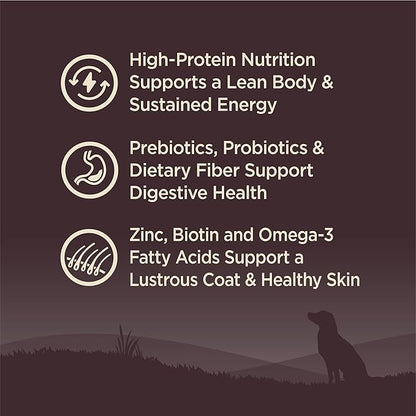 Wellness CORE Dry Dog Food, Grain-Free, High Protein, Natural, Ocean Whitefish, Herring, & Salmon Recipe, (12-Pound Bag)