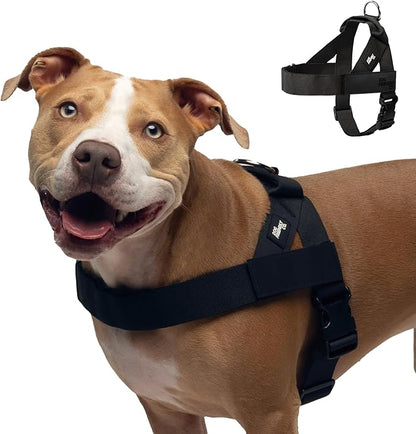 Dog Friendly Co. Dog Harness for Large Dogs (Black, Large) | One Click Buckle, Chafe Resistant Webbing, Adjustable Neck & Chest, and Heavy Duty D-Ring, Sturdy Comfortable and Easy to Use