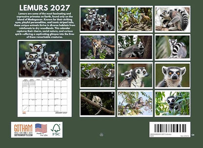 Lemur Calendar 2027 Monthly Wall Calender 12 Month