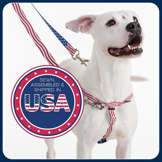 2 Hounds Design Freedom No Pull Dog Harness, Adjustable Harness and Leash Set, Easy Walking & Comfortable Control, Fits Small, Medium & Large Dogs, Solid Colors, Made in USA, 1" LG, Hot Pink