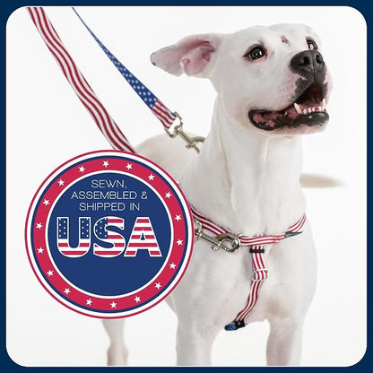 2 Hounds Design Freedom No Pull Dog Harness and Leash, 5/8" MD, Raspberry | Promotes Easy Walking & Comfortable Control, Secure Fit, Adjustable Harness and Leash Set for Medium Sized Dogs, Made in USA