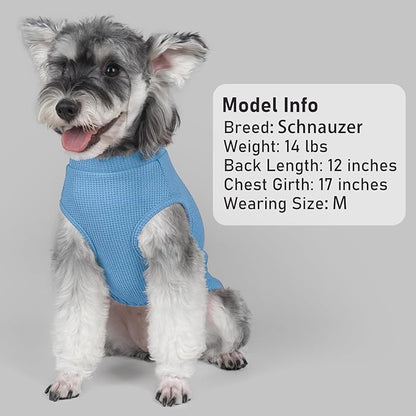 KYEESE 2Pack Waffle Dog Shirts Stretchy Dog T-Shirts Lightweight Dogs Tank Top Sleeveless Striped Dogs Shirt Vest Breathable, XX-Large, Blue+Striped