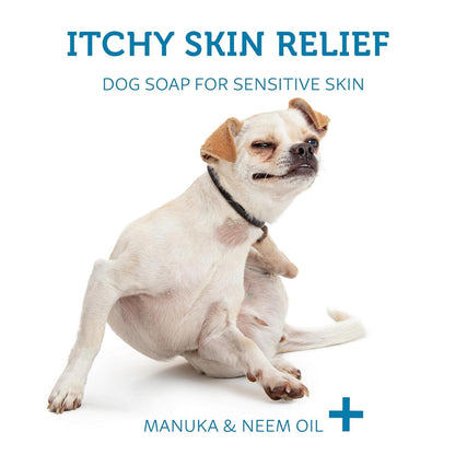Dog Shampoo Bar Soap for Itchy Skin Relief - 2.8 oz - Concentrated Dog Soap for Sensitive Skin with Natural Manuka and Neem Oil to Ease Allergies, and Itching