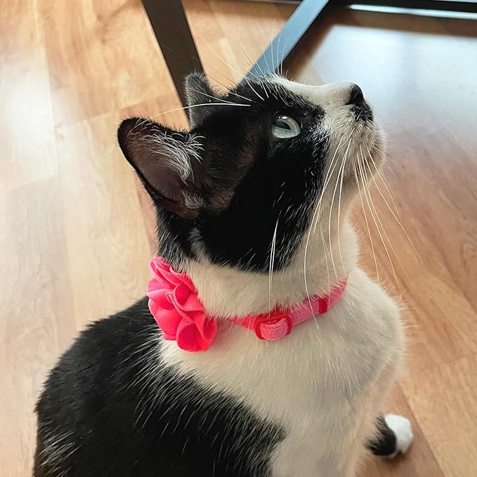 azuza 2 Pack Cat Collar Floral with Bell and Removable Flower Bowtie Breakaway Adjustable Velvet Fabric Cat Collar for Pets and Daily Decoration, Light Pink & Dark Pink