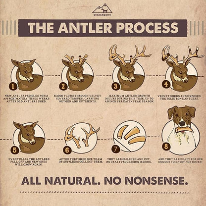 peaksNpaws Premium All-Natural Grade A Split Elk Antlers for Dogs – Naturally Shed in The Rocky Mountains – No Additives, No Preservatives - Healthy and Delicious Treat - Made in USA - M/L Split