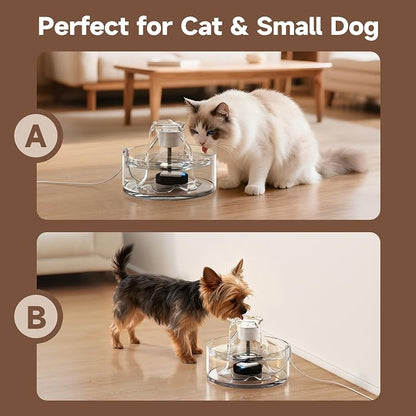 PETIMI Glass Cat Water Fountain, 2.7L/91 oz Ultra-Quiet Pet Fountain, Automatic Water Dispenser for Cats & Small Dogs, Spill-Resistant Pet Water Bowl, BPA-Free, Includes 2 Filters, Effortless to Clean
