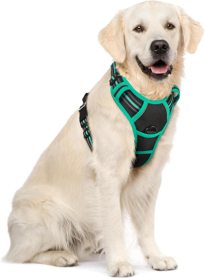 rabbitgoo Dog Harness No Pull with 2 Leash Clips, Adjustable Soft Padded, Reflective Oxford No Choke Pet Vest with Easy Control Handle for Large Dogs, Black & Turquoise, XL