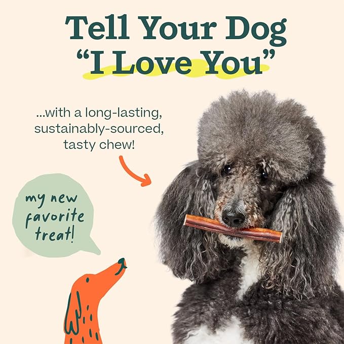 WOOF Bully Sticks Dog Treats - Chew Sticks for Dogs - Long-Lasting Dog Chew Treats - Made with Free-Range, Grass-Fed Beef - 6" Sticks - 25pk