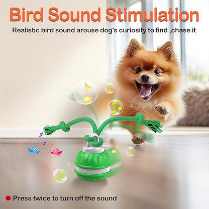 Interactive Dog Toys Rolling Ball for Puppy/Small Dogs,Peppy Pet Ball for Dogs,Motion Activate,Automatic Moving Dog Toy,USB Rechargeable