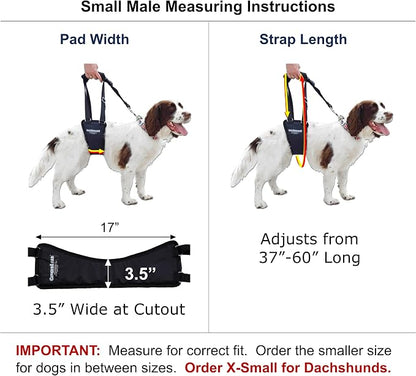 Dog Support Sling Rear Leg Harness, SM Male, Machine Wash & Dry | Fits Small to Medium Size Pets or Larger Barrel-Chested Breeds like Boxers, Bullies. Male Dachshunds use XS Size. Made in USA