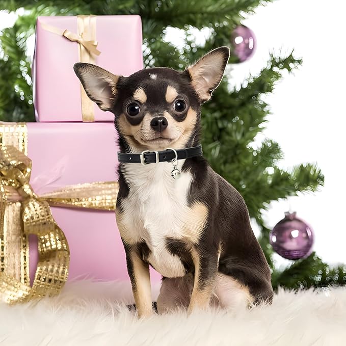 Purple Puppy Collar with Bell, Soft Pu Leather Cat Collars Adjustable Buckle for XXS XS Extra Small Medium Tiny Female Male Boys Girls Pets Dogs Kitten Teacup Yorkie S