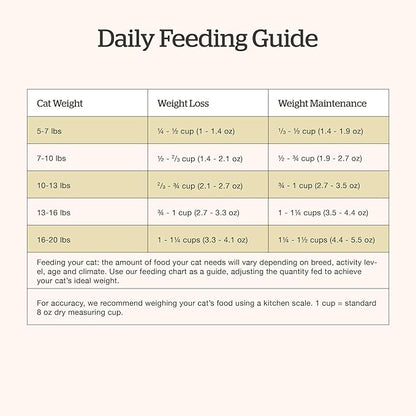 Now Fresh Grain-Free Senior Dry Cat Food with Turkey, Salmon & Duck, Premium Kibble Made with Real Meat & Fish, Chicken-Free Recipe, Supports Healthy Weight Management, 8 lb Bag