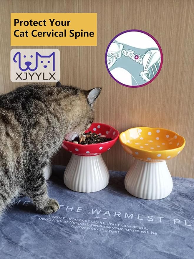 Mushroom Elevated Cat Bowls Ceramic, Cute Cat Bowls Whisker Fatigue | Raised Cat Bowl for Indoor Cats, Raised Dog Bowls Stand for Food and Water, Red+Yellow 6" Wide for Adult Cats