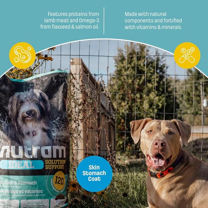 I20 Lamb & Brown Rice Dry Dog Food – Formulated for Skin, Coat, and Stomach | Kibble for Adults & Seniors | with Omega-3 Salmon Oil & Rosemary for Immunity and a Shiny Coat