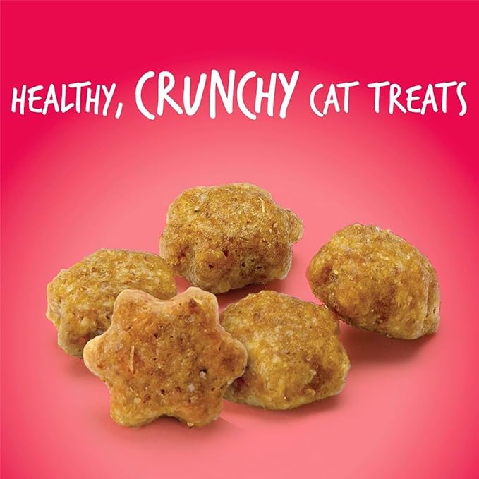 Fruitables Cat Crunchy Treats For Cats – Healthy Low Calorie Packed with Protein – No Wheat, Corn or Soy – Made with Real Salmon with Cranberry – 2.5 Ounces