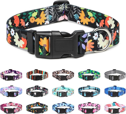 Mercano Adjustable Dog Collar - Special Design Patterns, Soft Nylon Comfortable Sturdy Pet Collar for Small Medium Large Dogs (XS, Floral Orange)