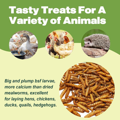 20LB Dried Black Soldier Fly Larvae, 86X Calcium Than Dried Mealworms, High Protein Non-GMO Organic Chicken Feed