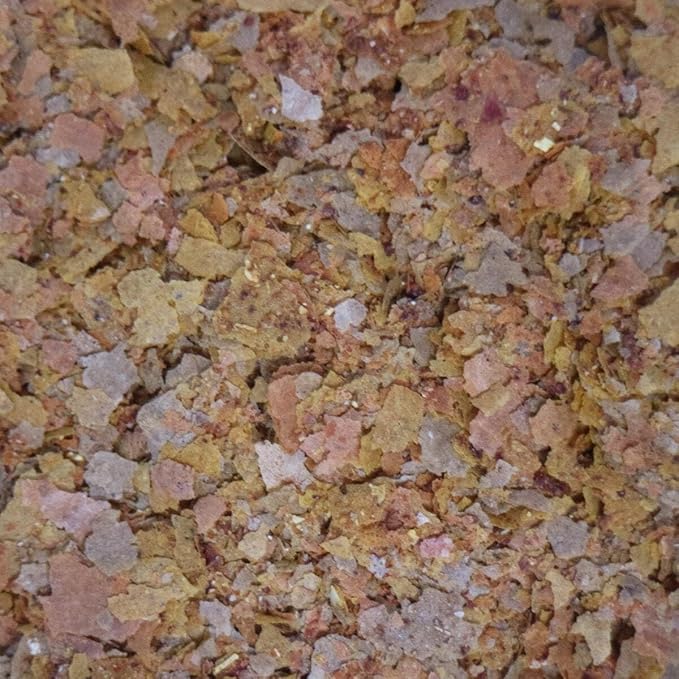 API TROPICAL FLAKES Fish Food .36-Ounce Container