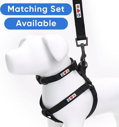 Pawtitas 6 FT Solid Color Leash - Comfortable Handle Dog Training Leash 6 ft Medium/Large Black